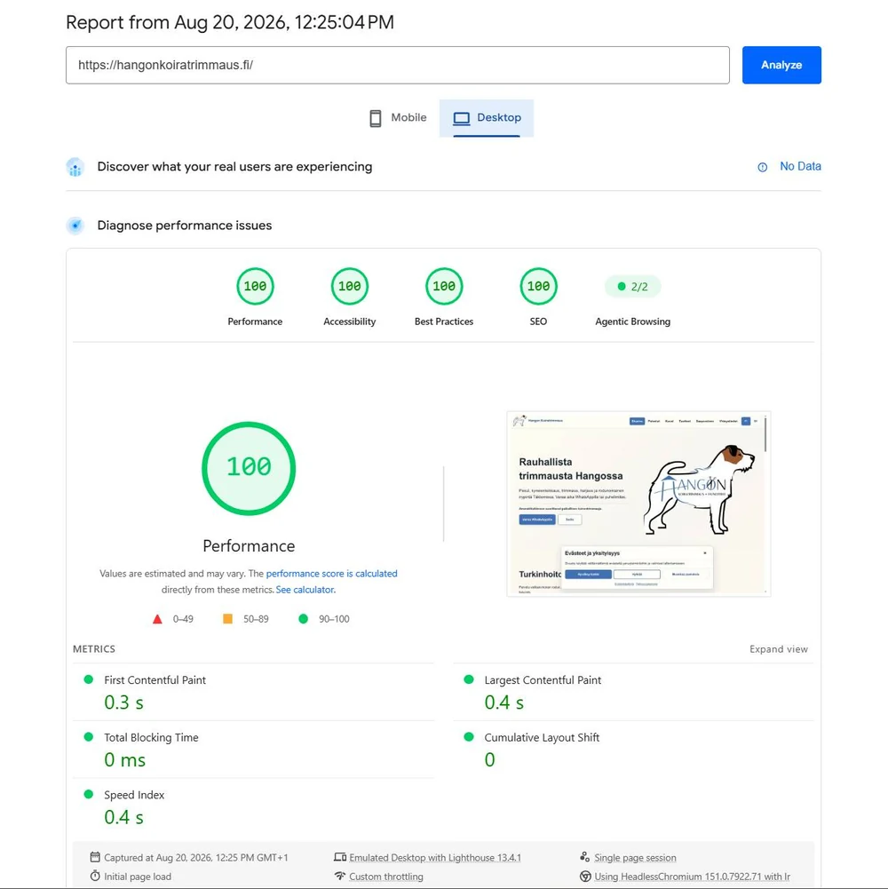 Hangon Koiratrimmaus: PageSpeed Insights. Tietokone · 20.8.2026. 100/100 suorituskyky.