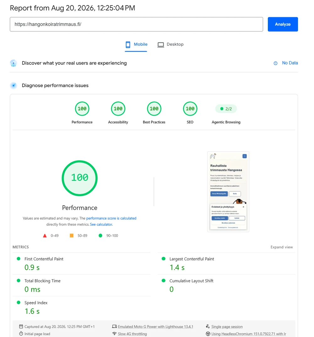 Hangon Koiratrimmaus: PageSpeed Insights. Mobiili · 20.8.2026. 100/100 suorituskyky.
